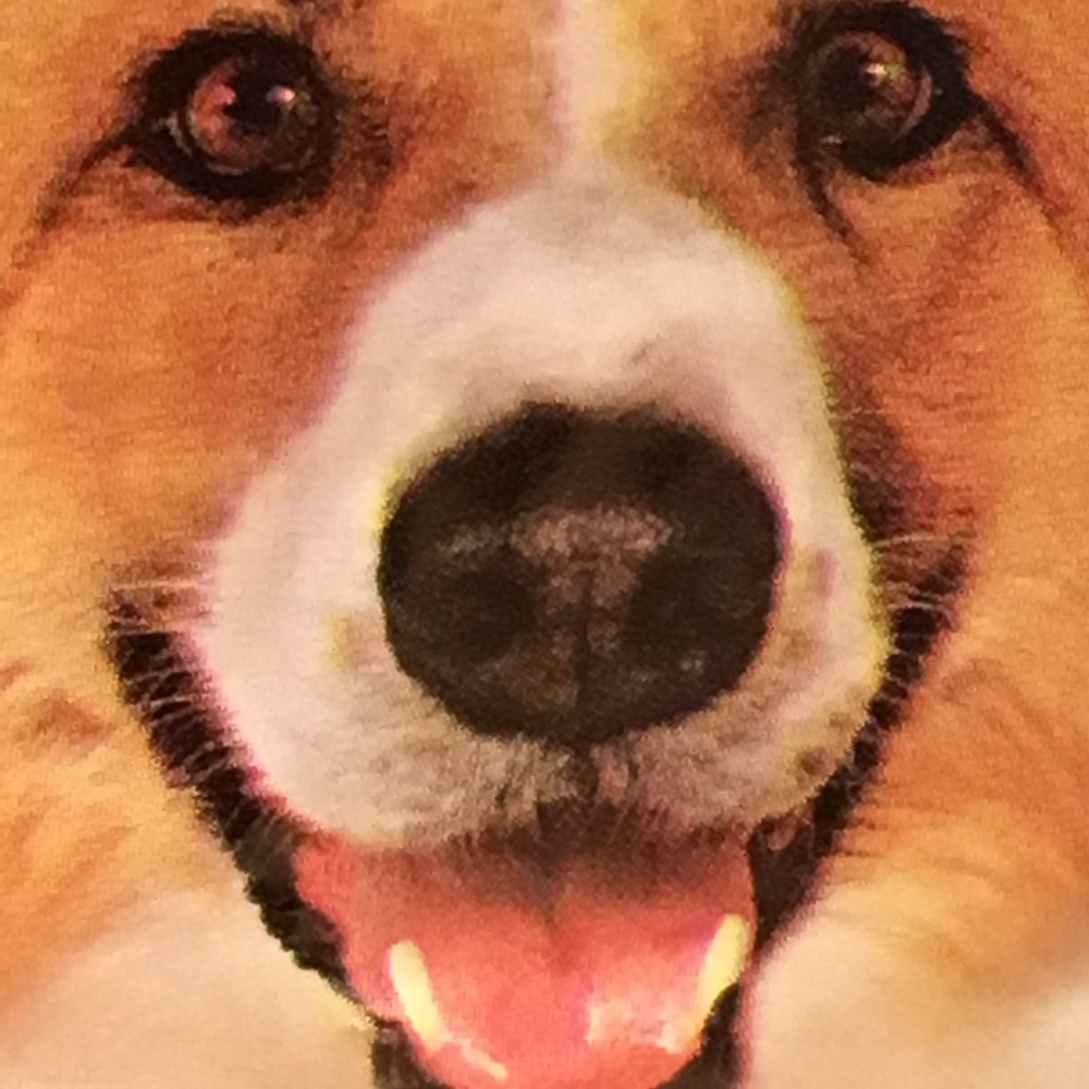 Meet your Posher, Eugenie